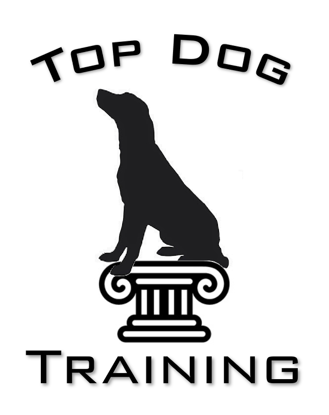 Top online dog training